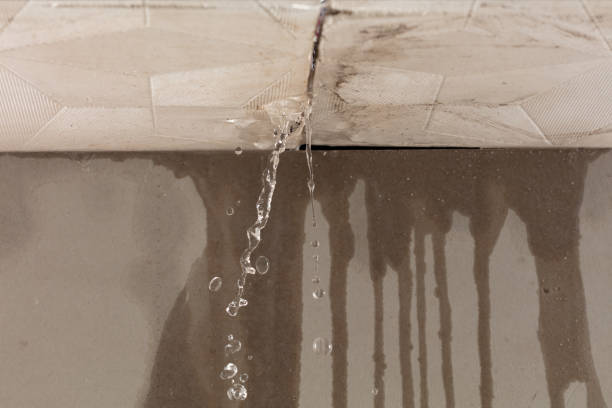 Professional Water Damage Inspection technician working in Guilderland Center, NY